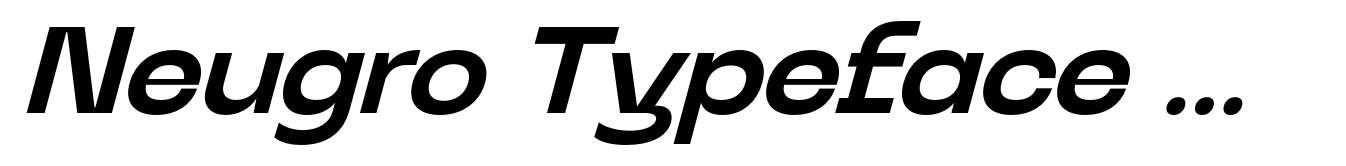 Neugro Typeface Semi Bold Italic